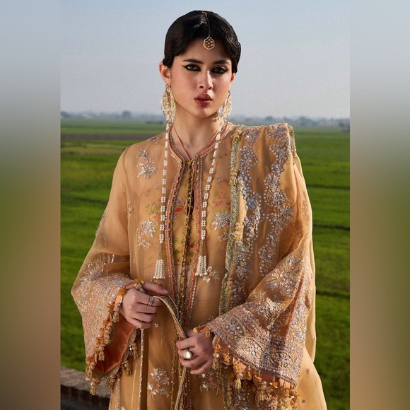 Pakistani Indian Brand Hussain Rehar festive fancy party wear dress suit - Picture 4 of 16